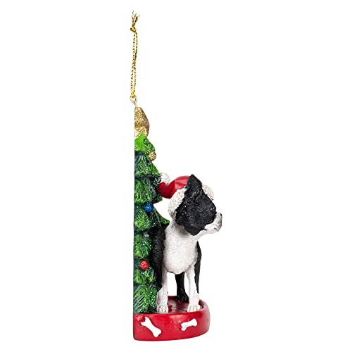 Suspension Boston Terrier de Noël Kurt Adler C7615BT - 4