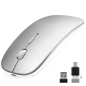 AE WISH ANEWISH Bluetooth Maus with USB-C-Adapter fur Mac/iPad/iPhone/PC/Computer, wiederaufladbar geräuschlos Mini Kabellose Maus für Windows/Linux/Android, 3 DPI Einstellbares Bluetooth 5.0 Silber