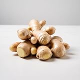 IFLO® Ingwer Rhizome zum Pflanzen – Zingiber Officinale – Gewürzpflanze für Topf & Balkon (2)