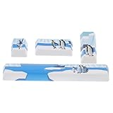 OUNONA 4 Stück Teiliges Pbt Keycaps Mechanische Tastatur Schlüsselersatz Esc Leertaste Staubschutz Einfache Montage Langlebige Tastaturdekoration