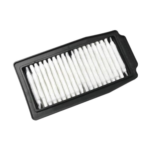 Filtre d'admission d'air Suzuki GW250 Inazuma et GSX250 résout la perte de puissance moto