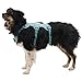 Ruffwear, Web Master, Multi-Use Support Dog Harness, Hiking and Trail Running, Service and Working, Everyday Wear, Blaze Orange, Medium