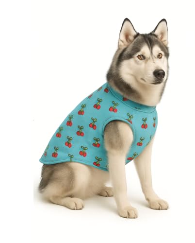 Image of The Pets Company Dog Winter Coat Jacket, Cloth, Windproof, Light Weight, Washable, Ultra Warm Thick Fleece Lined Dog Vest for Cold Weather Protection, (Sky Blue Cherry, Med - Large - 22 Inch)