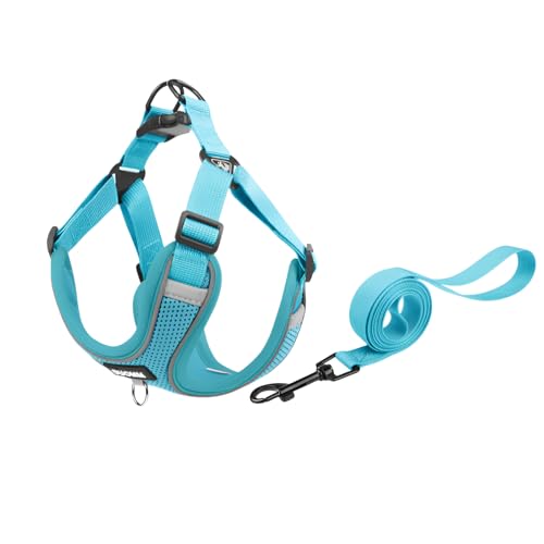 [Tumanld]pn[lX [hZbg ^ ^Ή bVf ʋC ˍޕt TCY\ h~ Pݖh~ ȒPE 1.5m[h U  Č Hc Sy  ϋv ԈS