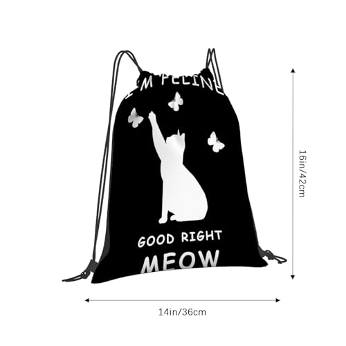 I'M FELINeE GOOD MEOWs CAT LOVERrS FUNNY Drawstring Bag For Gym2