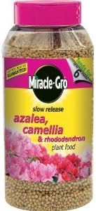 Miracle-Gro 1 kg Slow Release Azalea Camellia and Rhododendron Plant Food