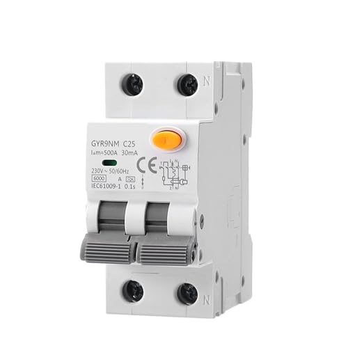 Disjoncteur différentiel pour éviter surcharge et électrocution 2P 40A