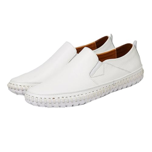 [`oEq] Xj[J[ Y  C y Xj[J[ ؂񂱃Xj[J[ ҂ݏグV[Y JWAV[Y  킢 [Jbg  Xb| V[Y  ʊw ʋ 25.0cm t  H ~ V[Y ɂ 