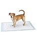 Amazon Basics - Tappetini assorbenti per animali domestici, extra-large