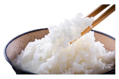 [先行予約/2ヶ月連続定期便]令和7年産新米 岩手県産 ひとめぼれ 5kg×2回 米 盛岡産 お米 白米 精米 ブランド米 単一原料米 5キロ こめ コメ おこめ ご飯 ライス 東北 岩手 岩手県 盛岡市