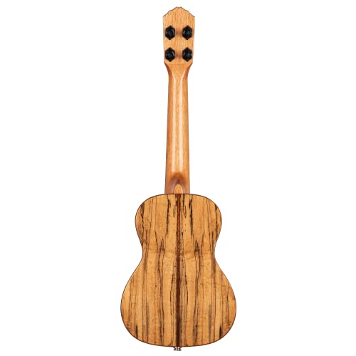 Ukulélé Concert électro-acoustique Ortega Guitars – Série Elite – housse incluse – Solid Spalted Maple (RUET-SMA) - Les Beatles, Paul McCartney, John Lennon, RIngo Starr, George Harrison Ukulélé Concert électro-acoustique Ortega Guitars - Série Elite - housse incluse - Solid Spalted Maple (RUET-SMA) – Image 3