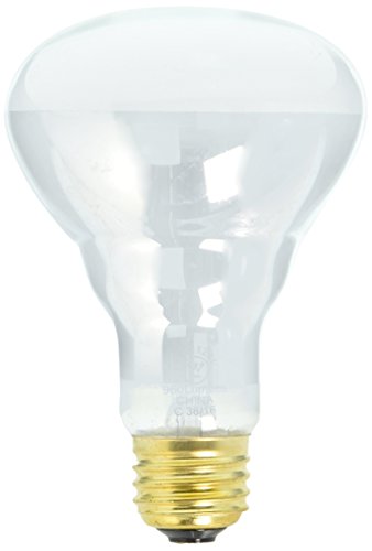 Westinghouse Lighting 3686100, 55 Watt 960 Lumen BR25, 30° Beam 1000 Hours 120 Volt Halogen Light Bulb