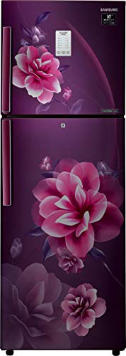Image of Samsung 253 L 2 Star Inverter Frost-Free Double Door Refrigerator Appliance (RT28T3932CR /HL, Camellia Purple, Convertible, 2022 Model)