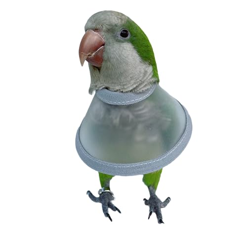 Image of Adjustable Parrot Cone Collar, Safe and Practical Cotton Collar to Prevent Bites and Licking Wounds, to Help heal (M)