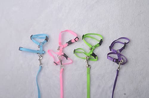 Image of Adjustable Hedgehog Harness for Training Playing Traction Rope Small Animal Pet Outdoor Play (Blue, Fit Small pet)