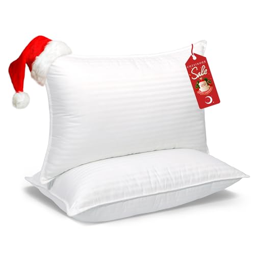 COZSINOOR Queen Size Bed Pillows Set of 2, Plush Cooling Hotel Quality Pillows with Breathable Skin-Friendly Microfiber Cover