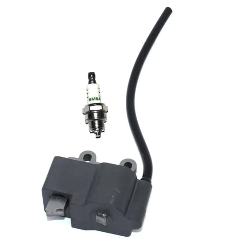 Bobine d'allumage pour entretien de souffleur thermique de jardin PB-252 - 6