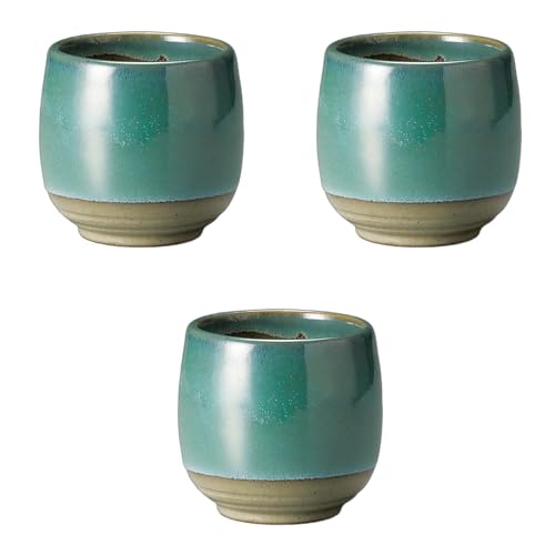 Zgmz|(Setomonohonpo) 3Zbg qXC^^iji [ 7.5×7.8cm ] | iۓ