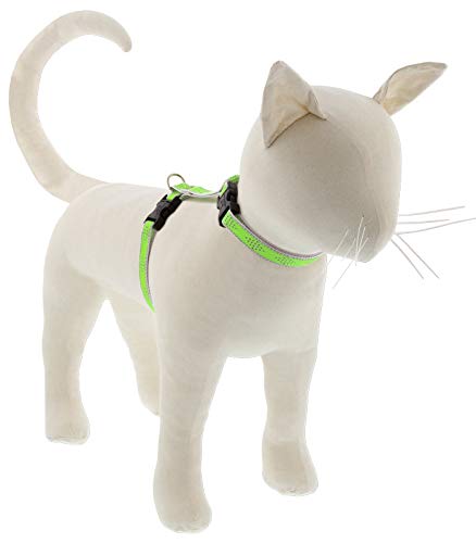 Lupine Reflective Cat and Small Pet H-Style Harness in 1/2 Wide Green Diamond with 12 to 20 Adjustable Girth