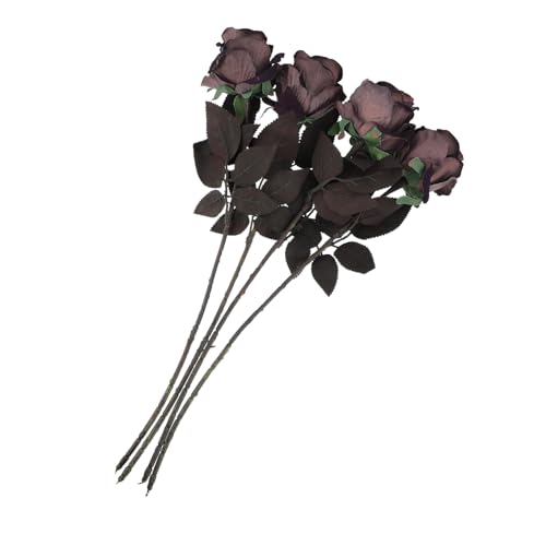 Lurrose 1 Zbg 4 tl̃o nEB[Y ̂ǂ̃o A[gt[ tFCNt[oh e[ufR[V nEBp[eB[I[ig VN