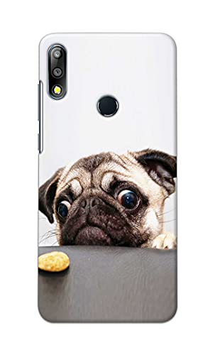 Image of Printed Hard Back Cover Case for Asus Zenfone Max Pro (M2) (6.26 inch) | Zenfone Max Pro M2 Back Cover (Pug Dog) -203