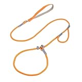 Dog Leash Slip Chain Dual Handle Nylon Rope No Pull Training Lead Heavy Duty Pet Traction for M L Dogs(Orange)