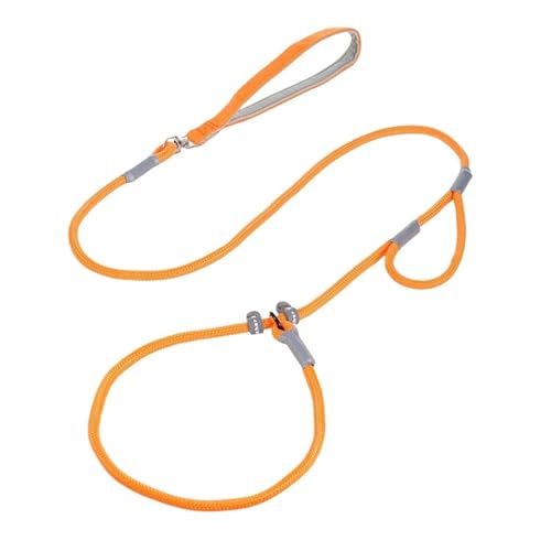 Dog Leash Slip Chain Dual Handle Nylon Rope No Pull Training Lead Heavy Duty Pet Traction for M L Dogs(Orange)