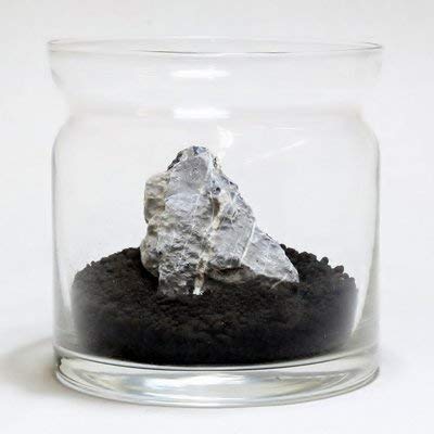 コケのインテリア コケリウム 栽培キット テラリウム キット 苔盆栽 セット コケリウムキット モダン 4枚目