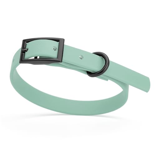 Image of Dogline Biothane Waterproof Dog Collar Strong Coated Nylon Webbing with Black Hardware Odor- Proof for Easy Care Easy to Clean High Performance Fits Small Medium or Large Dogs, Sage Green