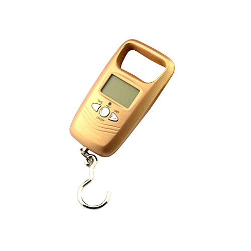 Hotaluyt Gancho de Pesca balanza Colgante WH-A17L 50 kg de Doble precisión Digital Escala electrónica de Equipaje con un Peso Steelyard