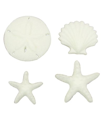 Beachcomber Asst. Sea Shell Sand Dollar Star Fish Decorations Sugar Topper Celebrate Cup Cake Cake Cookie toppers 12 count