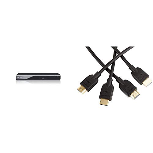 Panasonic DVD-S700EG-K DVD-Player (Multiformat Wiedergabe mit xvid, MP3 und JPEG, USB 2.0, HDMI, SCART) Schwarz & Amazon Basics Hochgeschwindigkeits-HDMI-Kabel 2.0, 1,8 m, 2er-Pack