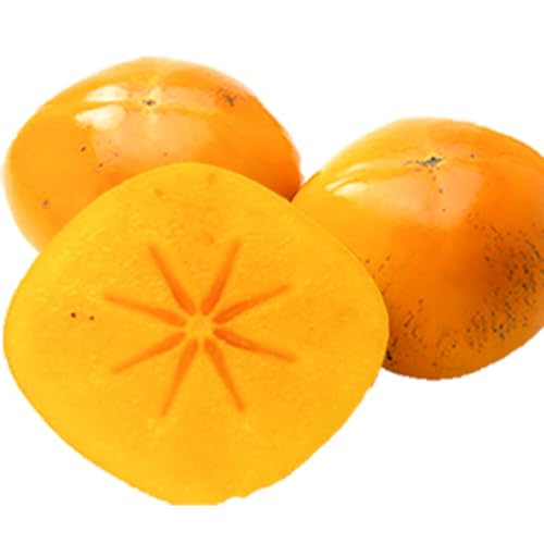 ◆先行予約◆[秋の味覚]和歌山産のたねなし柿ご家庭用約7.5kg[2026年9月上旬-11月上旬出荷]