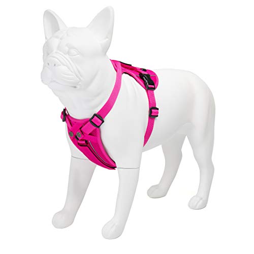 kana gear dog harness