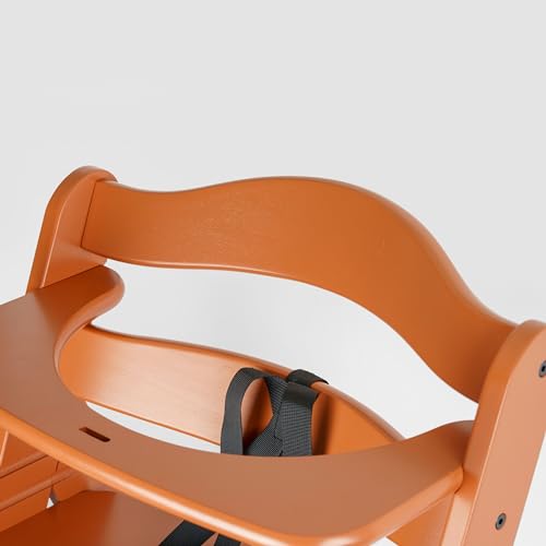 Hochstuhl Sicherheitsgurt, 1 Set, in Schwarz, kompatibel mit Hauck, Stokke Tripp Trapp, Roba, mitwachsender Kinderschutzgurt, 5 Punkt Gurtsystem Kinderhochstuhl, Kindersicherheitsgurt Stuhl Baby Tisch