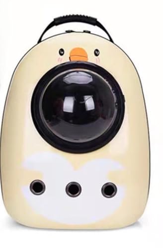 Cicqkks ybgobO xbgpL[obO ybgJo xbgpbNTbN FDJvZ^ bN^ LobO LJo LbgobO LpobO LpbN pobO pbN opi AEghA U s a@ o