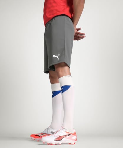 Image of Puma Men's Team Rise Knitted Regular Fit Hybrid Shorts