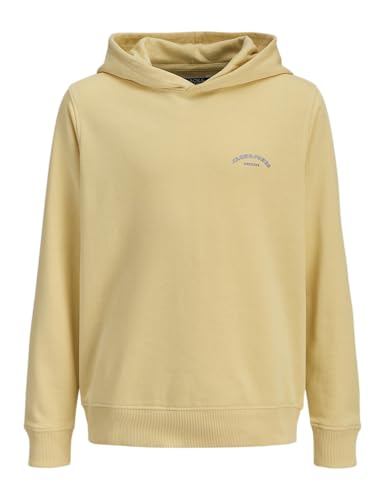 JACK & JONES Jjcollege Logo Sweat Hood Jnr