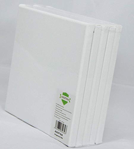 ADEPTNA Lot de 5 cadres en toile vierge tendue 100 % coton de qualité sans acide avec triple apprêt enduit gesso et 40 clés de serrage, blanc, 20CM X 20CM