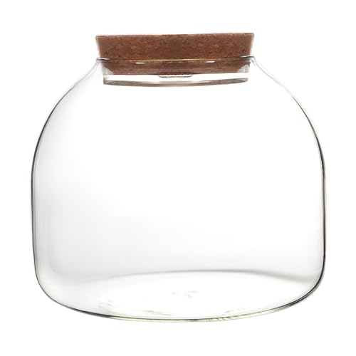 Terrarium en verre pour plantes, 1600 ml avec couvercle en liège, grand pot à ouverture pour mini plantes grasses, paysage, affichages floraux