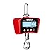 Steinberg Crochet Peseur Balance à Grue Professionnelle Rouge SBS-KW-1000R (1 000 kg / 0,2 kg, kg/lb, aluminium moulé, batterie 6V/4Ah, écran LCD avec rétroéclairage)