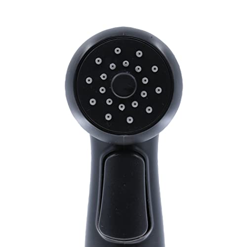 Danco 10338 Premium Side Spray, Oil Rubbed Bronze #TOP5