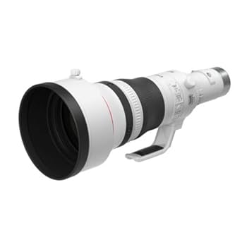 15094 Canon EF 800mm F5.6 L IS USM 手振れ補正 Hire Canon EF 800mm f5.6 | Lenses | Wex Rental