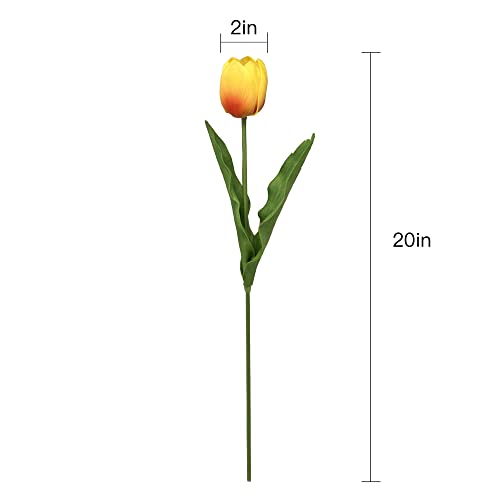 Cutefornia Elegant 20