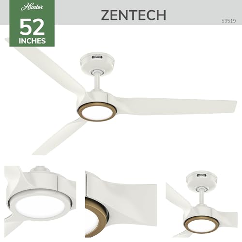 Ceiling Fan with Lights