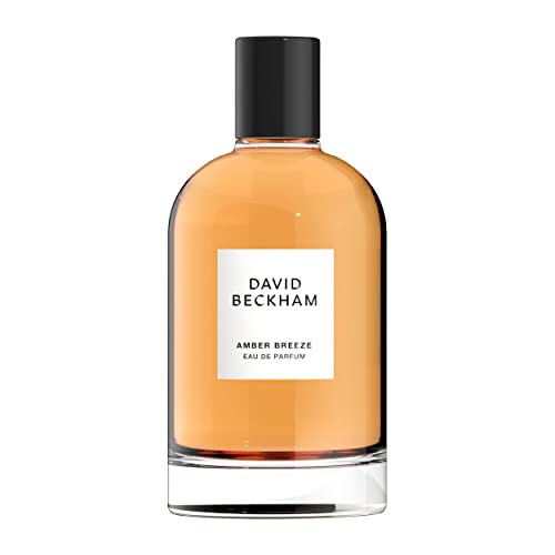 David Beckham Collection Amber Breeze Eau de parfum pour homme 100 ml