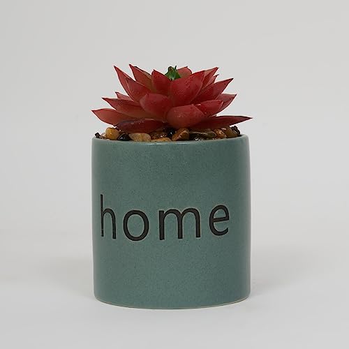 Image of Home Centre Garnet Garden Artificial Succulent Ceramic Planter