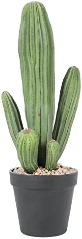 Artificial Cactus Fake Cacti 16" Faux Potted Cactus Plants for Home Office Store Décor Housewarming Gifts