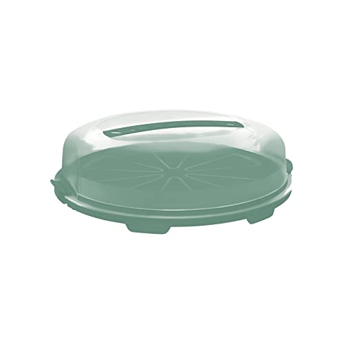 Rotho Fresh flache Tortenglocke, Kunststoff (PP) BPA-frei, türkis/transparent, (35.5 x 34.5 x 11.6 cm)