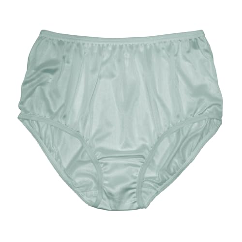 Image of Teri Women's 331 Plain Jane Classic Nylon Silky-Smooth Lightweight Breathable Full Coverage Brief Panty - 4 Pack